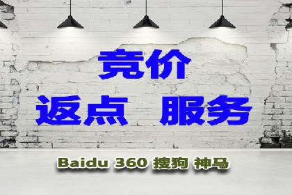 百度品牌专区推广的成效与案例